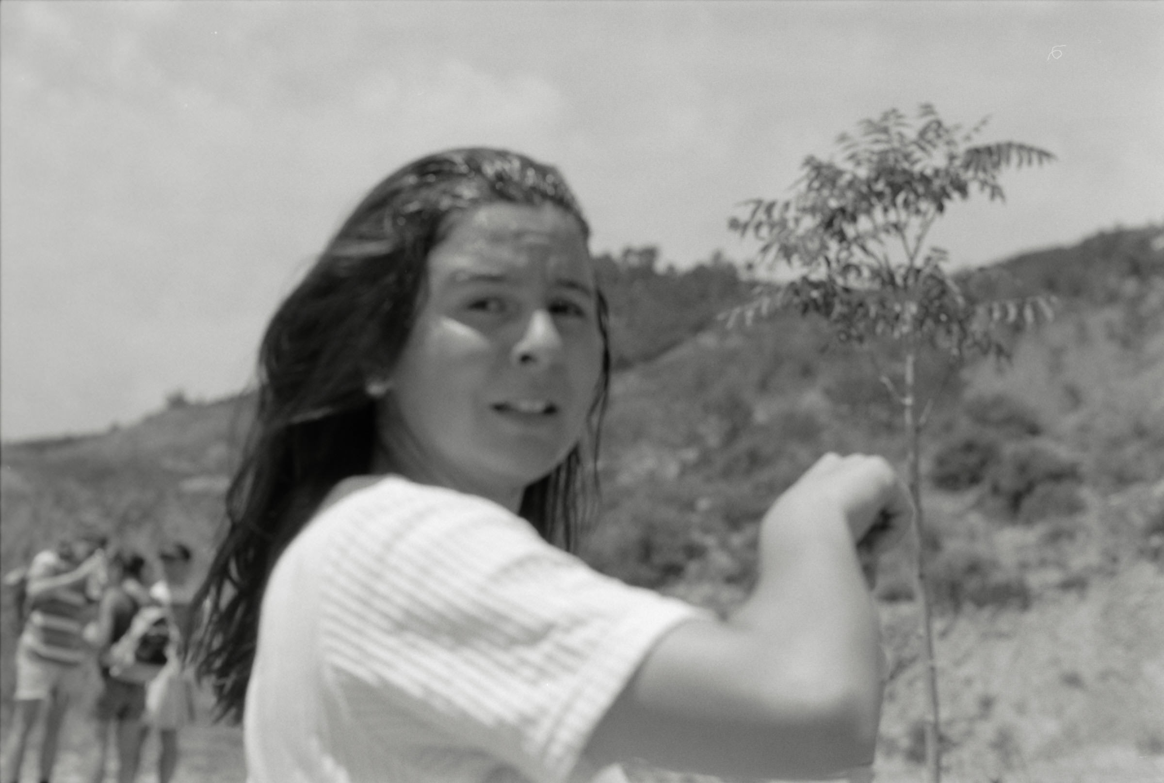 AHP F1995 05 006 sc240818 img26 NLP